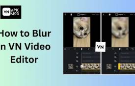 How Can VN Mod APK Help You Create Stunning TikTok Videos?