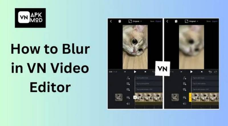 How Can VN Mod APK Help You Create Stunning TikTok Videos?